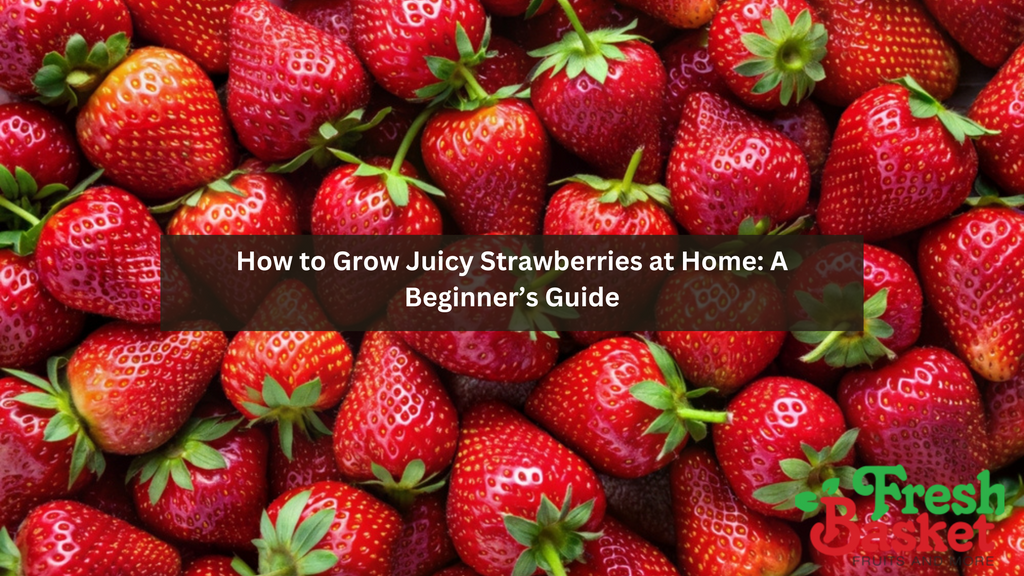 How to Grow Juicy Strawberries at Home: A Beginner’s Guide – Fresh Basket